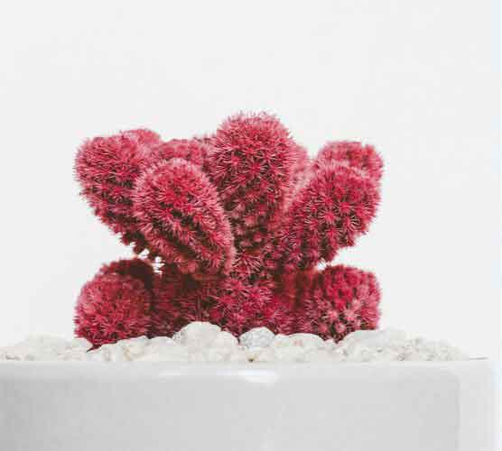 免费DDOS攻击测试工具