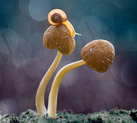 ip攻击器网页版